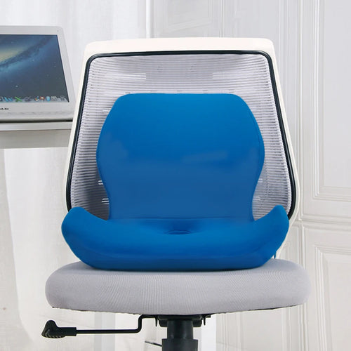 Aura Wellness Foam Seat Cushion Orthopedic Pillow